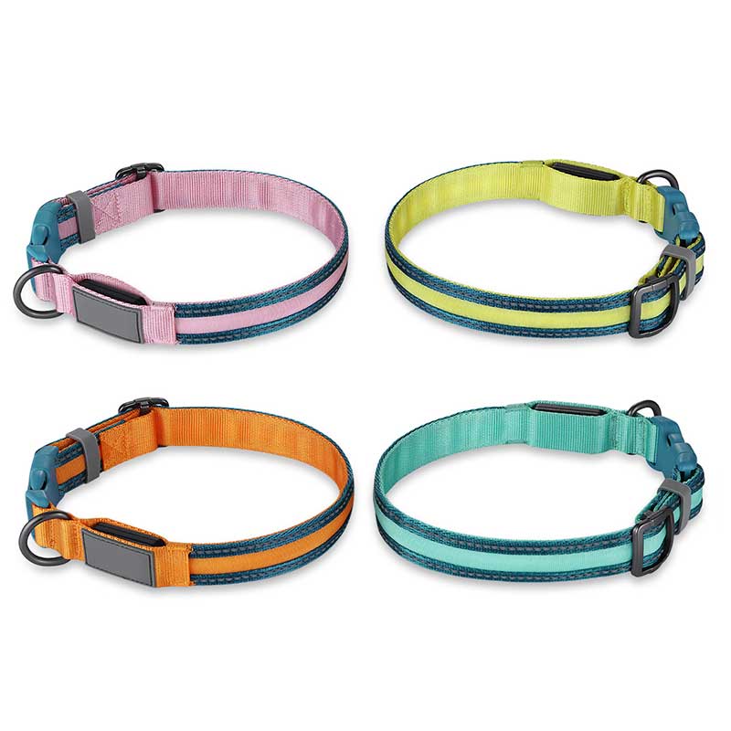 USB Flash Mixcolor Buckle Collar