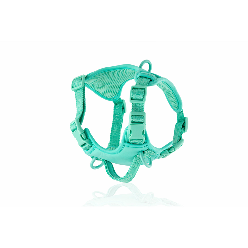 Dog Harness Set YC-WK1001