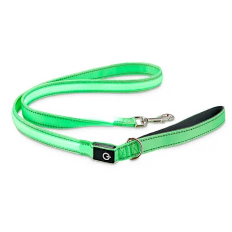 Neon Green LED Light-Up Dog Leash YC-LDL1021-GR
