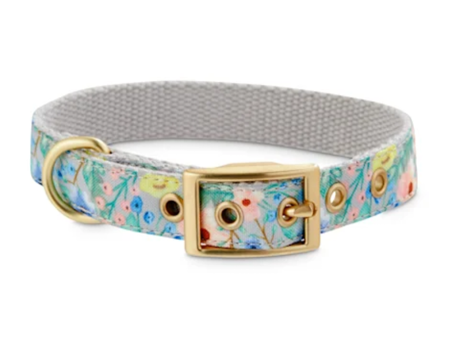Watercolor Garden Dog Collar YC-DC6002