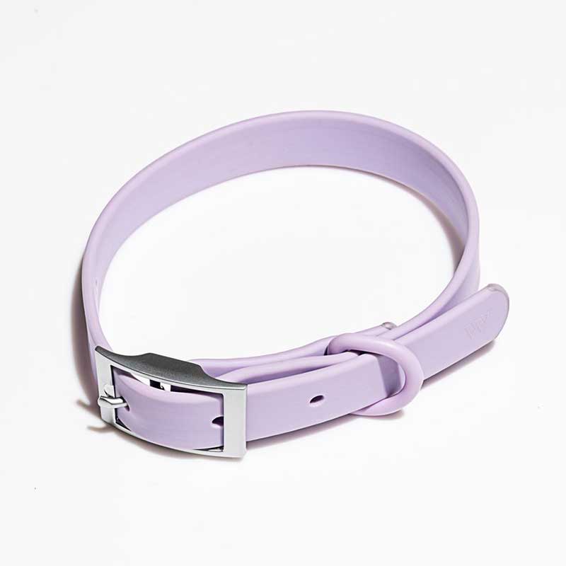 Super Strong Flex-poly Strap Collar YC-DC2019